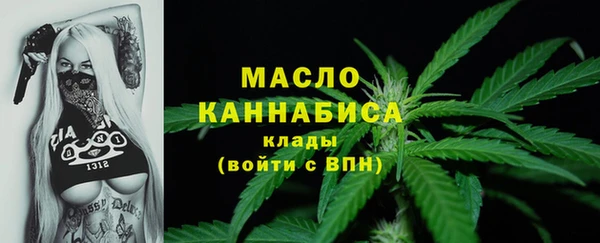 дживик Краснослободск