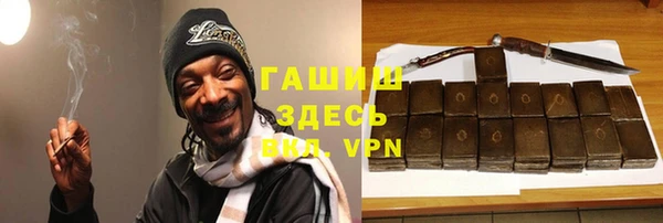дживик Краснослободск