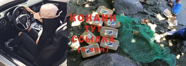 дживик Краснослободск