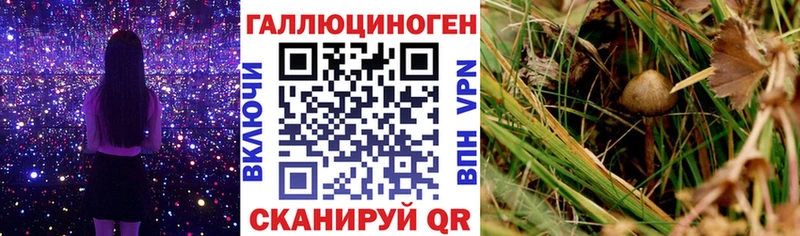 Галлюциногенные грибы мицелий  Купить где  Сосногорск 
